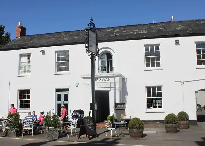 The Swan